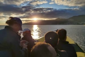 Madeira: Ponta de São Lourenço Lighthouse Boat Tour