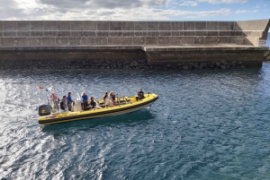 Madeira: Ponta de São Lourenço Lighthouse Boat Tour