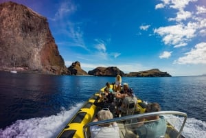 Madeira: Ponta de São Lourenço Lighthouse Boat Tour