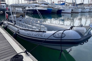 Lisbona: tour storico privato in motoscafo