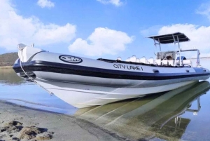 Lisbona: tour storico privato in motoscafo