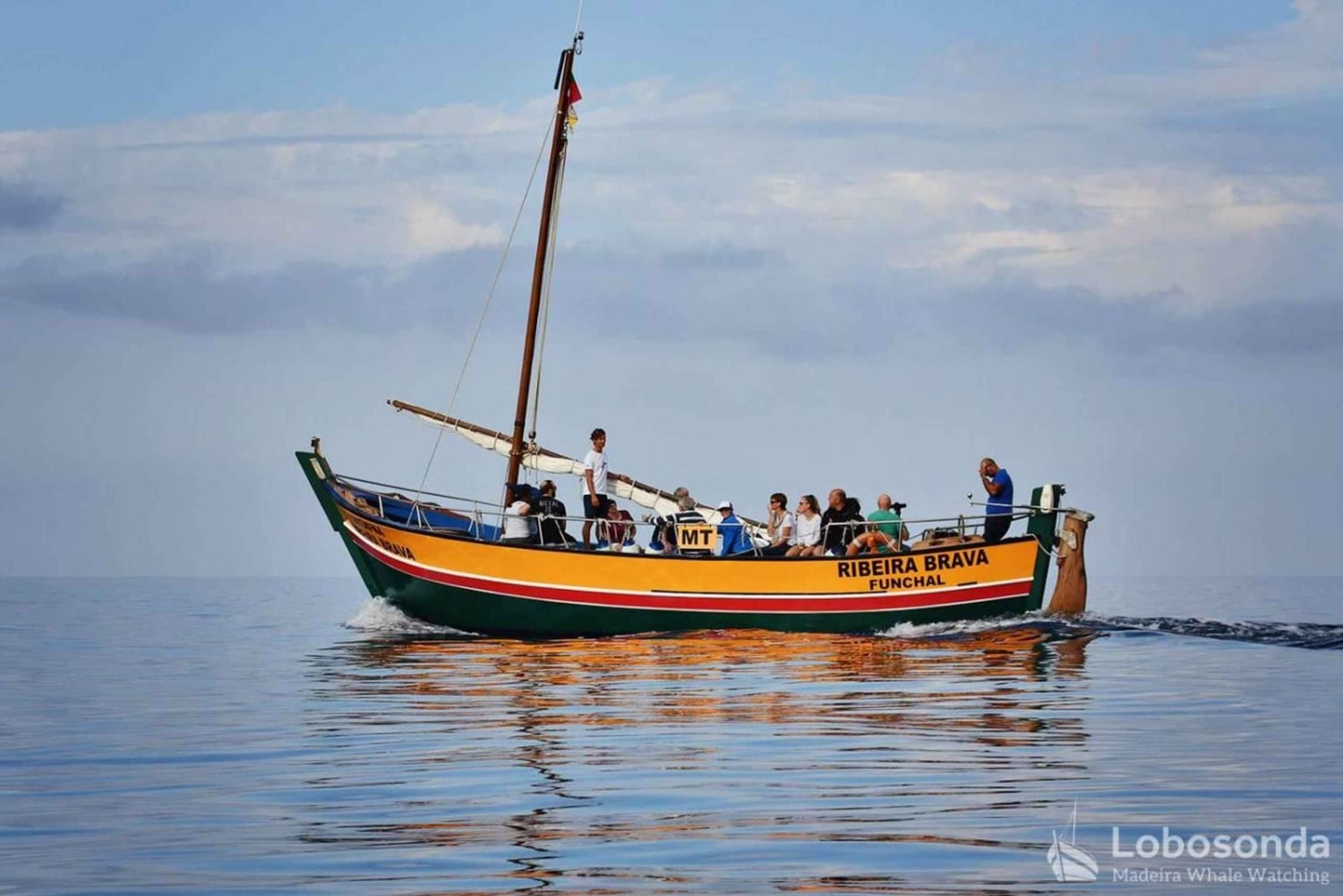 Whale Watching-Tour mit der Lobosonda „Ribeira Brava“