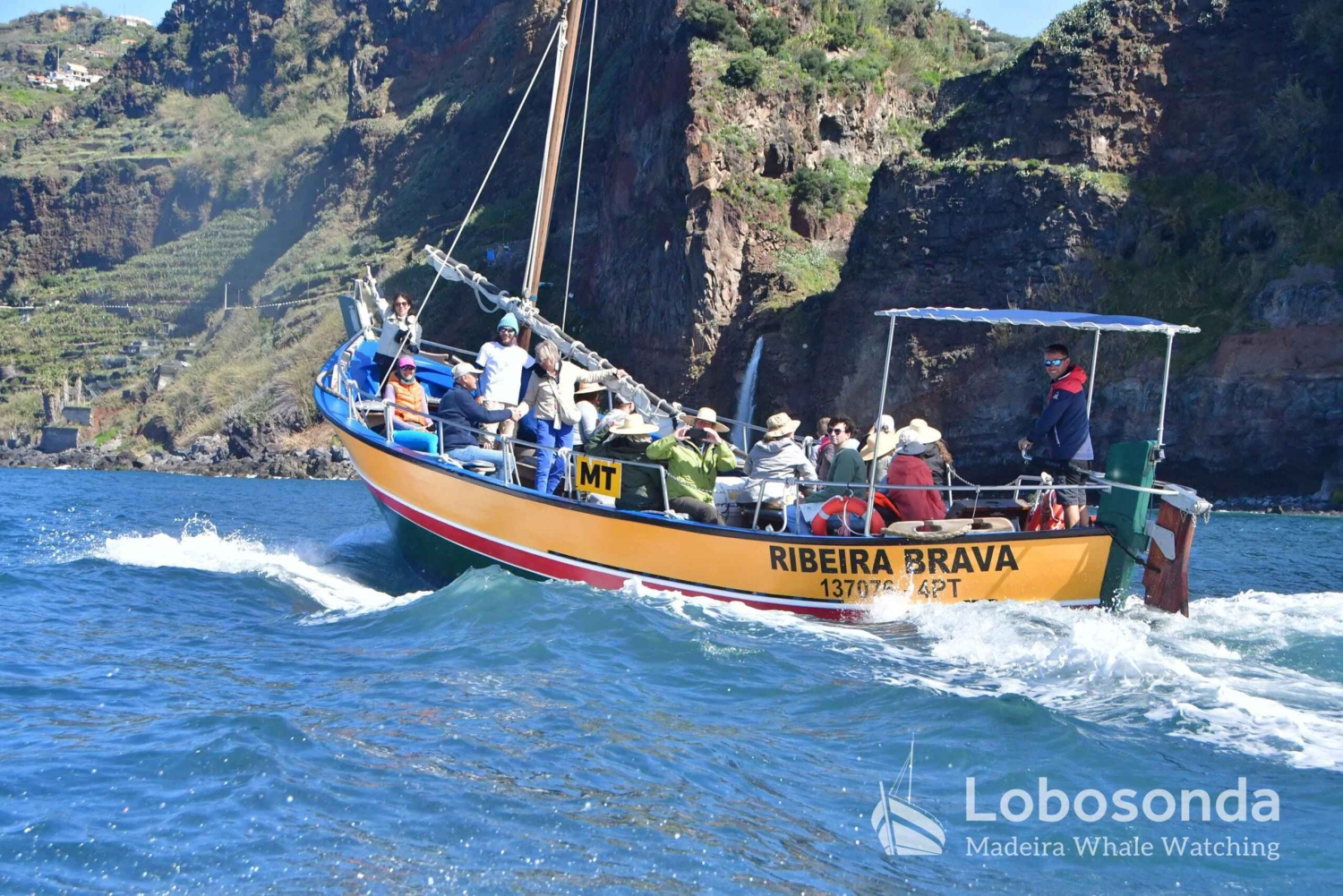 Whale Watching-Tour mit der Lobosonda „Ribeira Brava“