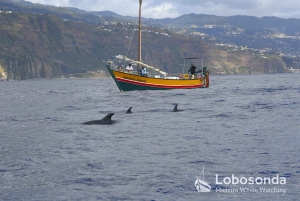 Whale Watching-Tour mit der Lobosonda „Ribeira Brava“