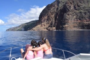 Madeira: 2.5-Hour Whale and Dolphin-Watching Cruise