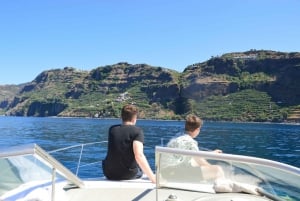 Madeira: 2.5-Hour Whale and Dolphin-Watching Cruise