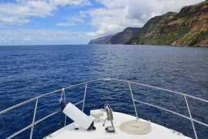 Madeira: 2.5-Hour Whale and Dolphin-Watching Cruise