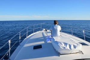 Madeira: 2.5-Hour Whale and Dolphin-Watching Cruise