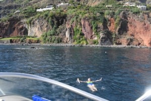 Madeira: 2.5-Hour Whale and Dolphin-Watching Cruise