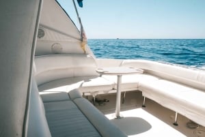 Madeira: Cruzeiro de observação de baleias e golfinhos de 2,5 horas