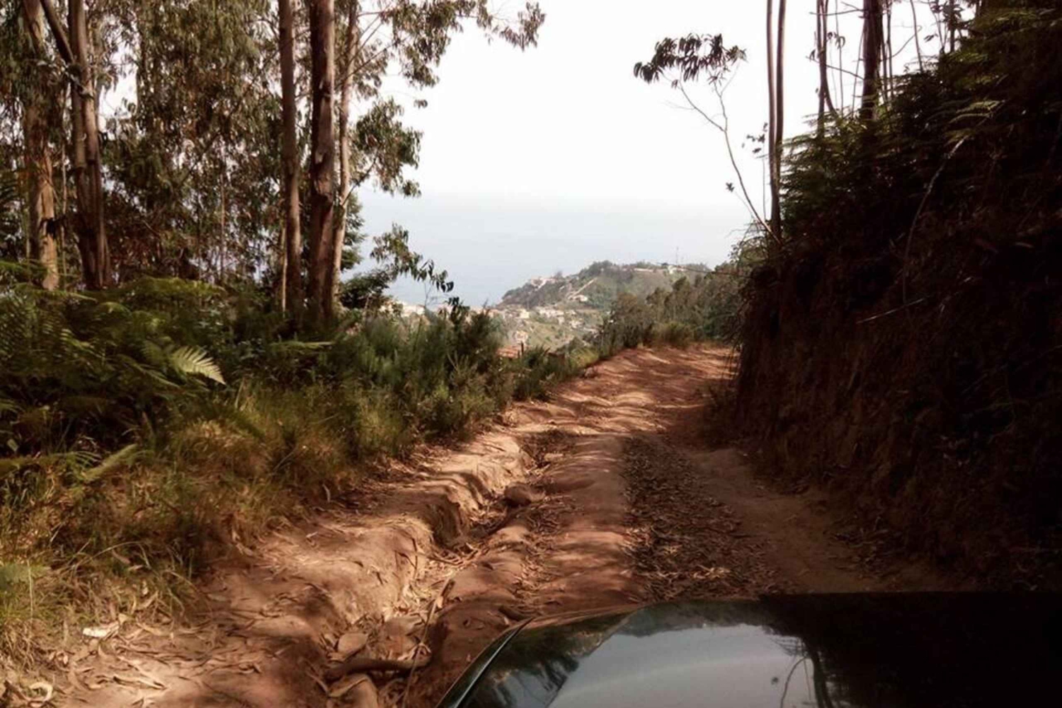Madeira 2 koko päivän ja 1 puolen päivän 4x4 jipe -erikoiskierroksen yhdistelmä