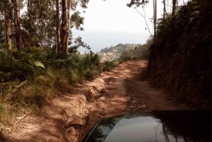 Madeira 2 Full-Day & 1 Half-Day 4x4 jipe Special Tour Combo