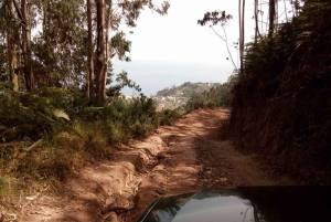 Madeira 2 koko päivän ja 1 puolen päivän 4x4 jipe -erikoiskierroksen yhdistelmä