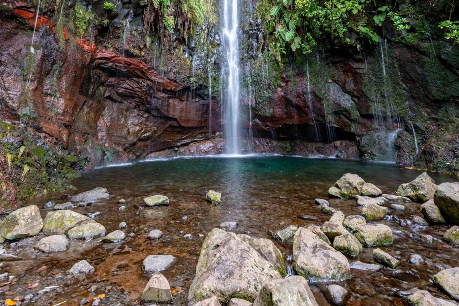 Madeira: 25 Fontes og Risco Levada vandretur med transfer