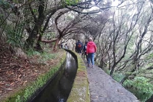 Madeira: 25 Fontes og Risco Levada vandretur med transfer