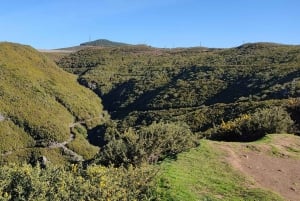 Madeira: 25 Fontes og Risco Levada vandretur med transfer