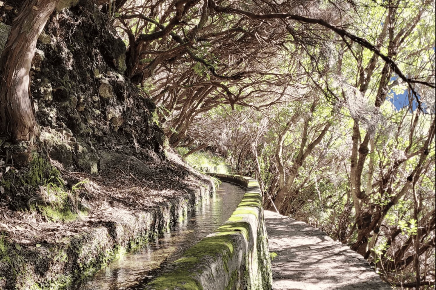 Madeira: 25 Fountains Rabaçal Forest Walk