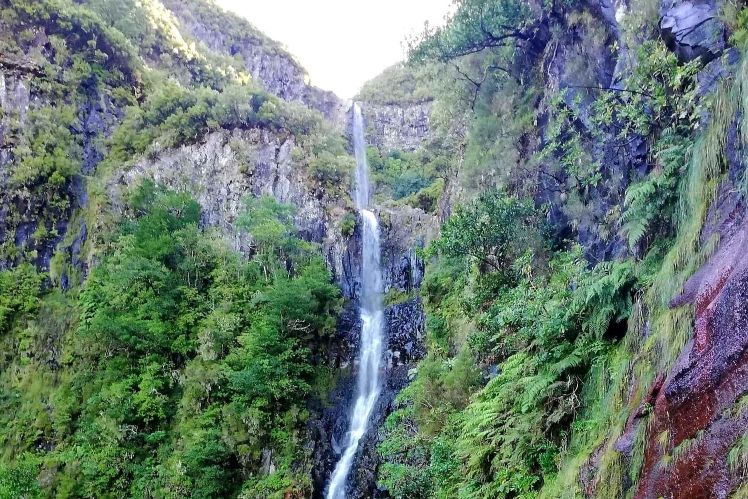 Madeira: 25 Fountains Rabaçal Forest Walk