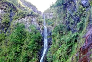 Madeira: 25 Fountains Rabaçal Forest Walk