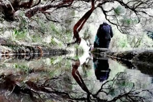 Madeira: 25 Fountains Rabaçal Forest Walk