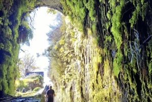 Madeira: 25 Fountains Rabaçal Forest Walk