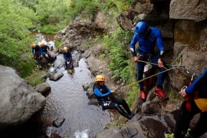 Canyoning in Madeira: Ideal for First-Timers and Families