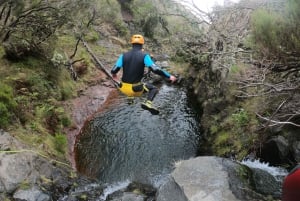 Canyoning in Madeira: Ideal for First-Timers and Families