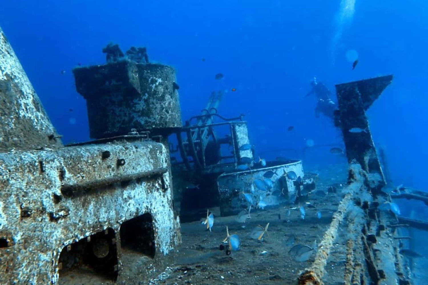 Madeira: 4-hour Scuba Dive from Porto Santo Island