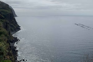 Madeira: 4 hours Classic Jeep tour in Central Madeira