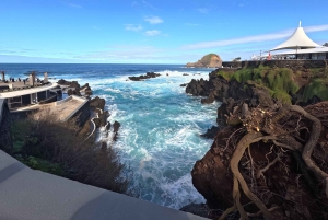 Safari em jipe 4x4 na Madeira: Porto Moniz, piscinas de lava e Fanal