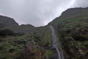 Safari em jipe 4x4 na Madeira: Porto Moniz, piscinas de lava e Fanal