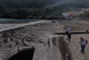 Safari em jipe 4x4 na Madeira: Porto Moniz, piscinas de lava e Fanal