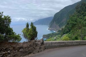 Madeira: 4x4 Jeep Tour with Beach Visit and Local Meal