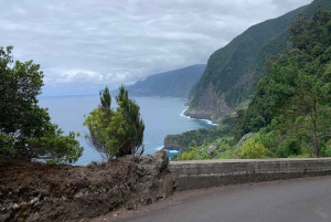 Madeira: 4x4 Jeep-tur med strandbesök och lokal måltid