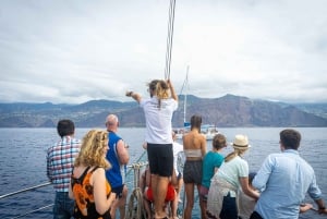 Madeira : 5 hour East Coast boat excursion