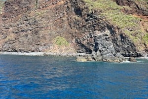 Madeira : 5 hour West Coast wooden Boat excursion