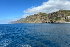 Madère : excursion de 5 heures en bateau en bois sur la côte ouest