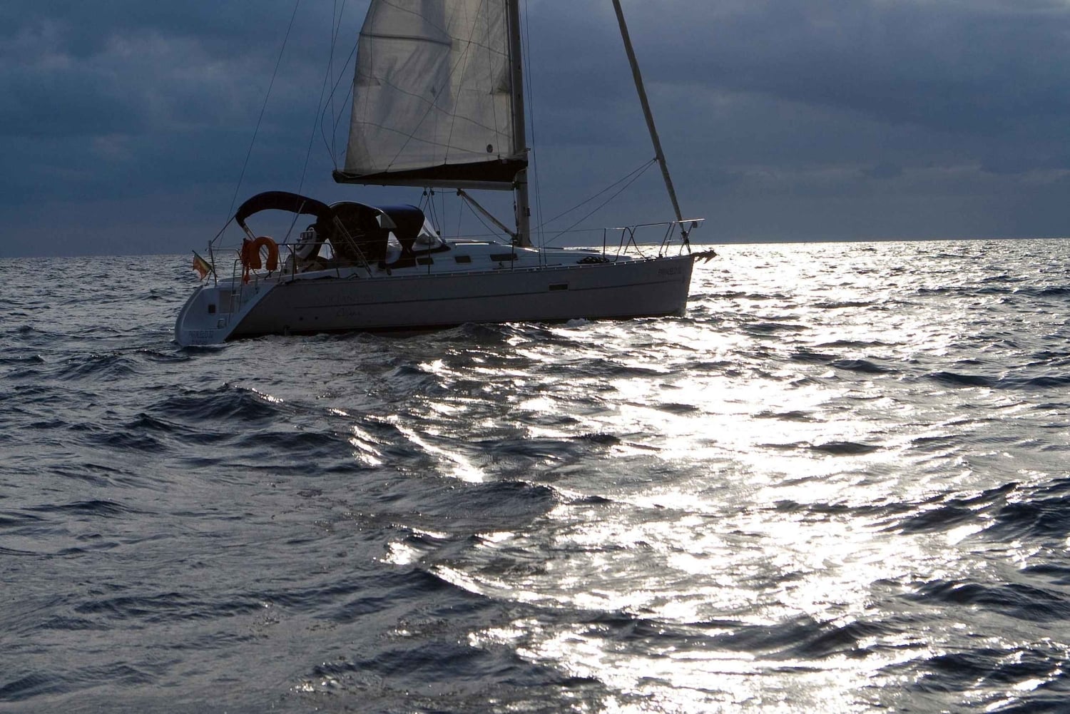 Madeira: 7-stündiger privater Segeltörn, Beobachtung der Meeresfauna und der Küste