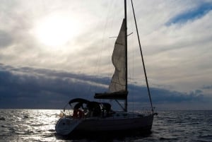 Madeira: 7-stündiger privater Segeltörn, Beobachtung der Meeresfauna und der Küste