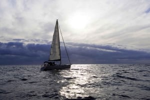 Madeira: 7-stündiger privater Segeltörn, Beobachtung der Meeresfauna und der Küste