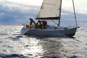 Madeira: 7-stündiger privater Segeltörn, Beobachtung der Meeresfauna und der Küste