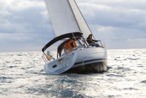 Madeira: 7-stündiger privater Segeltörn, Beobachtung der Meeresfauna und der Küste