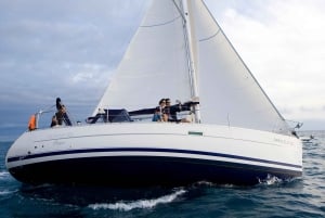 Madeira: 7-stündiger privater Segeltörn, Beobachtung der Meeresfauna und der Küste