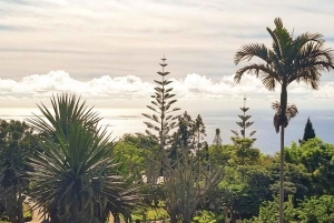 Madeira: 9-daagse paastour met verblijf in een villa en wandeltochten