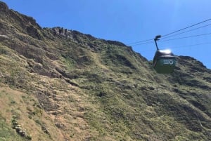 Madeira: Achadas Cruz, Porto Moniz, Seixal for Cruise Ship