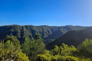 Visite adrénaline en 4x4 à Madère : tyrolienne, balançoire géante et Seixal
