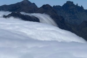 Visite adrénaline en 4x4 à Madère : tyrolienne, balançoire géante et Seixal