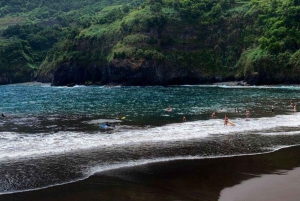 Visite adrénaline en 4x4 à Madère : tyrolienne, balançoire géante et Seixal