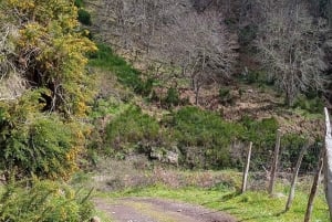 Madeira all day jeep nature tours.