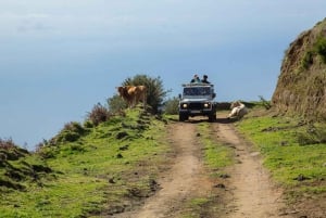 Madeira: Amazing West - Porto Moniz